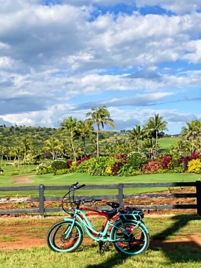 Two Bikes Near a Fence in Kauai