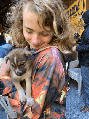 things to do in Alaska with teenagers, snuggle sled dog puppies